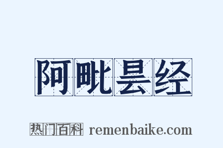 阿毗昙经是什么意思的图片